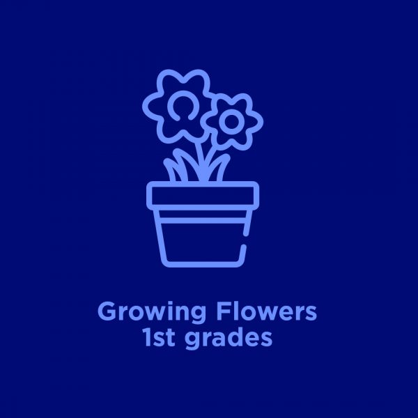 Growing Flowers 1st grades