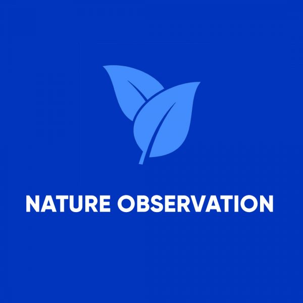 Nature Observation